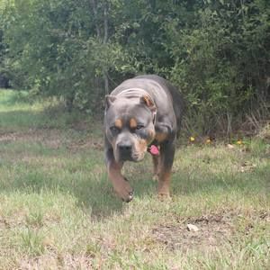 Meet your Posher, Parker